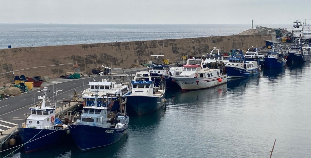 Els pescadors de l’arrossegament ja estan de veda