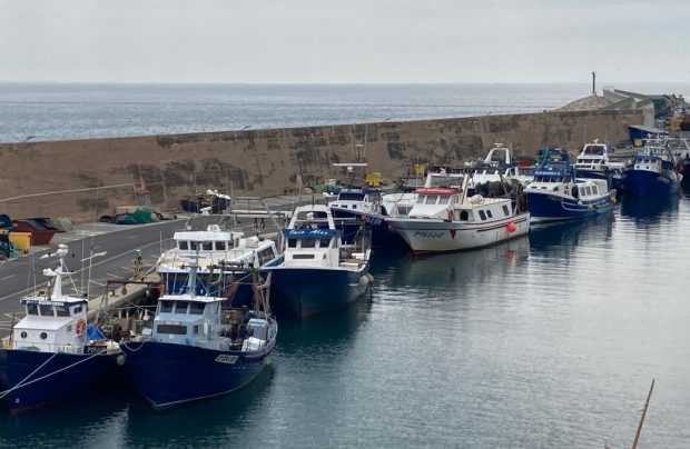 Pesca litoral port l'Ametlla de Mar 2022