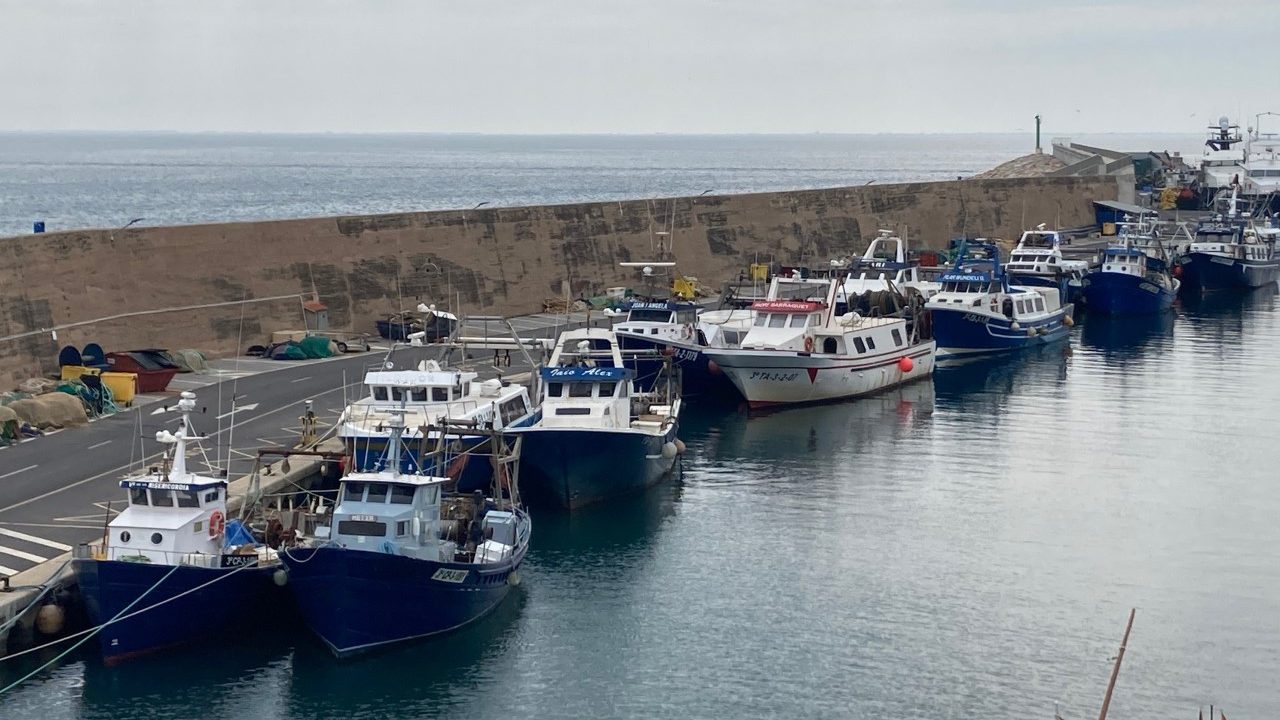Pesca litoral port l'Ametlla de Mar 2022